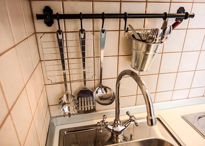 Rajna ז'אבוריץ'