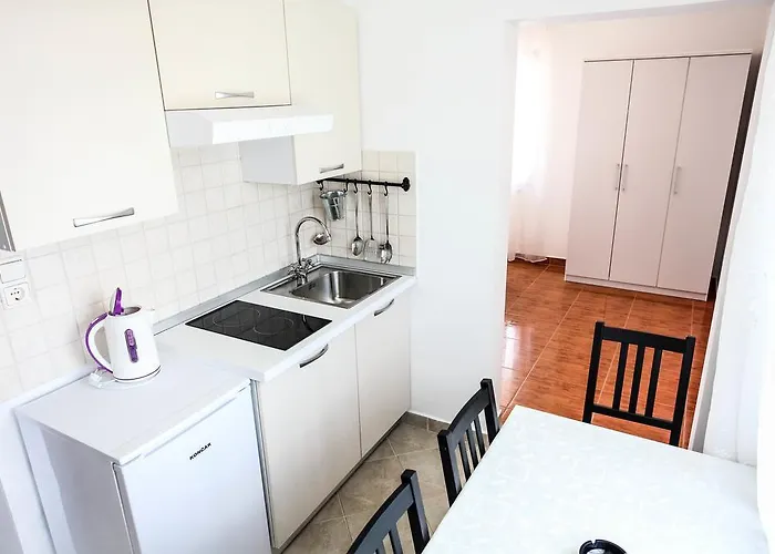 Rajna ז'אבוריץ'