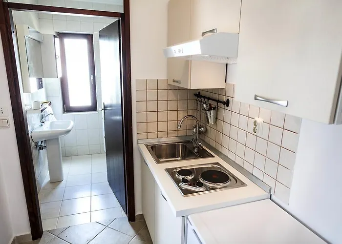 Rajna * ז'אבוריץ'