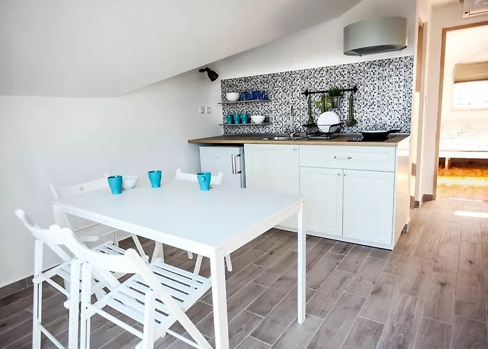 Rajna ז'אבוריץ'