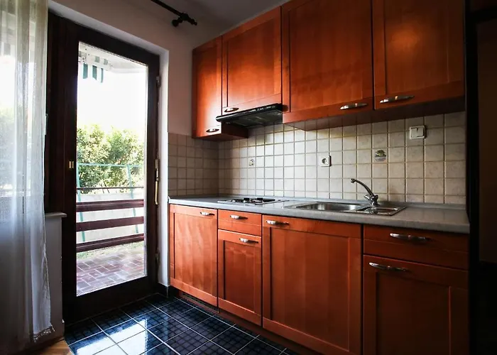 Rajna ז'אבוריץ'