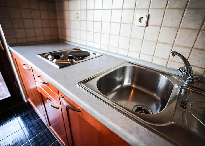 Rajna דירה ז'אבוריץ'