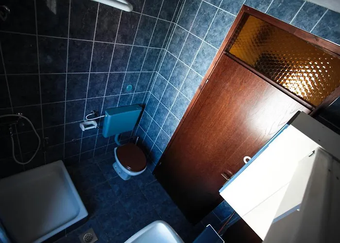 Rajna ז'אבוריץ'