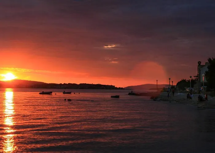 Rajna ז'אבוריץ'