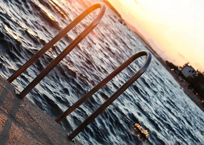 Rajna * ז'אבוריץ'